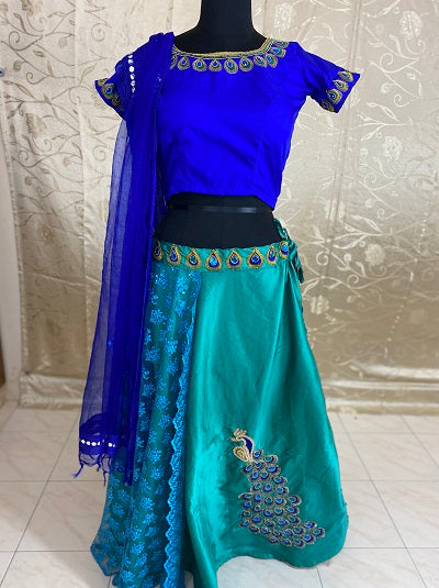Aari work Lehenga